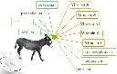 donkey-milk-1547800561-4655797 (1).webp