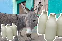 ad_211680991.webp
